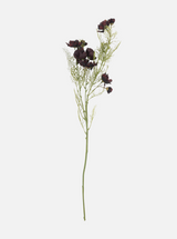 Thumbnail for picture #10