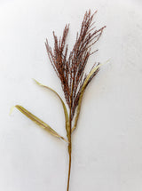 Thumbnail for picture #1