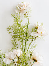 Thumbnail for picture #9