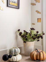 Thumbnail for picture #2