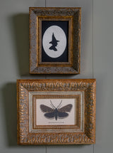 Thumbnail for picture #2