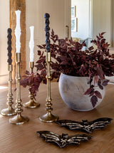 Thumbnail for picture #13