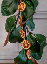 Thumbnail for picture #4