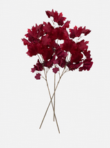 Thumbnail for picture #8