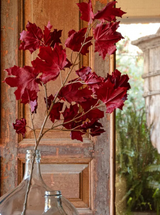 Thumbnail for picture #4