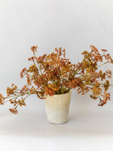 Thumbnail for picture #19