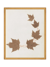 Thumbnail for picture #16