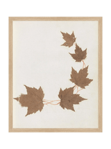 Thumbnail for picture #4