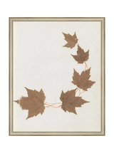 Thumbnail for picture #20