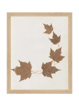 Thumbnail for picture #3