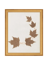 Thumbnail for picture #14