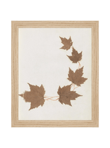 Thumbnail for picture #2