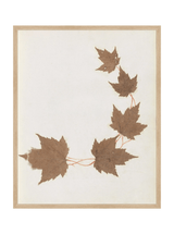 Thumbnail for picture #5