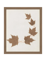 Thumbnail for picture #7