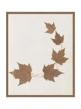 Thumbnail for picture #9