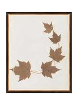 Thumbnail for picture #12