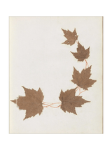 Thumbnail for picture #25