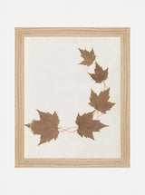 Thumbnail for picture #1