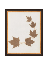 Thumbnail for picture #10