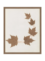 Thumbnail for picture #8