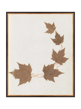 Thumbnail for picture #13