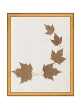 Thumbnail for picture #15