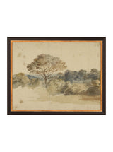 Thumbnail for picture #11