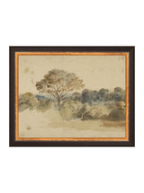 Thumbnail for picture #10