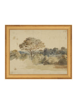 Thumbnail for picture #5