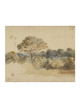 Thumbnail for picture #25