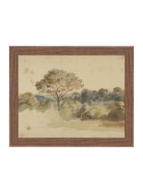 Thumbnail for picture #15