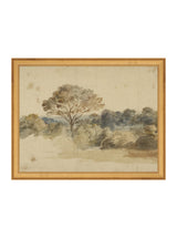 Thumbnail for picture #6