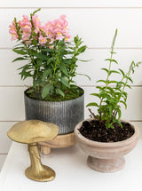 Thumbnail for picture #8