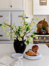 Thumbnail for picture #12