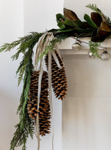 Thumbnail for picture #12