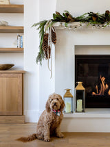 Thumbnail for picture #10