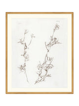 Thumbnail for picture #18