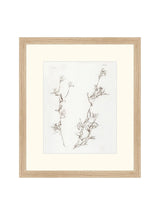 Thumbnail for picture #2