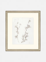 Thumbnail for picture #1