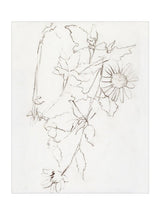 Thumbnail for picture #25