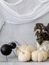 Thumbnail for picture #8