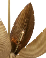 Thumbnail for picture #2