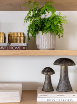 Thumbnail for picture #2