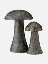 Thumbnail for picture #1