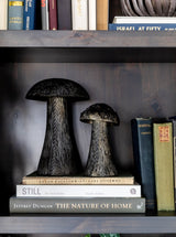 Thumbnail for picture #3