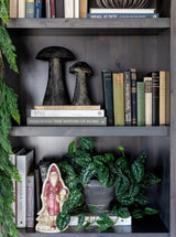 Thumbnail for picture #5