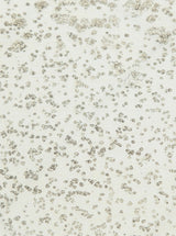 Thumbnail for picture #7