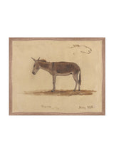 Thumbnail for picture #8