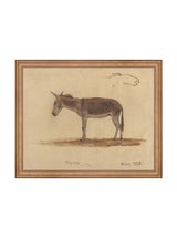 Thumbnail for picture #11