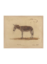 Thumbnail for picture #4